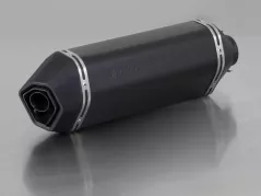 REMUS SPORTEXHAUST Schalldämpfer Edelstahl schwarz Vespa GTS 125-250-300 ie Super ab 05, EG BE